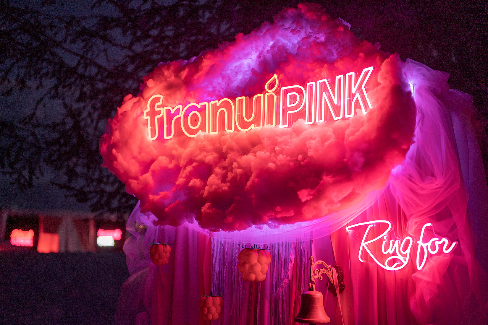 05 lanzamiento marca Franui pink fiesta evento dupla planners patagonia argentina bariloche