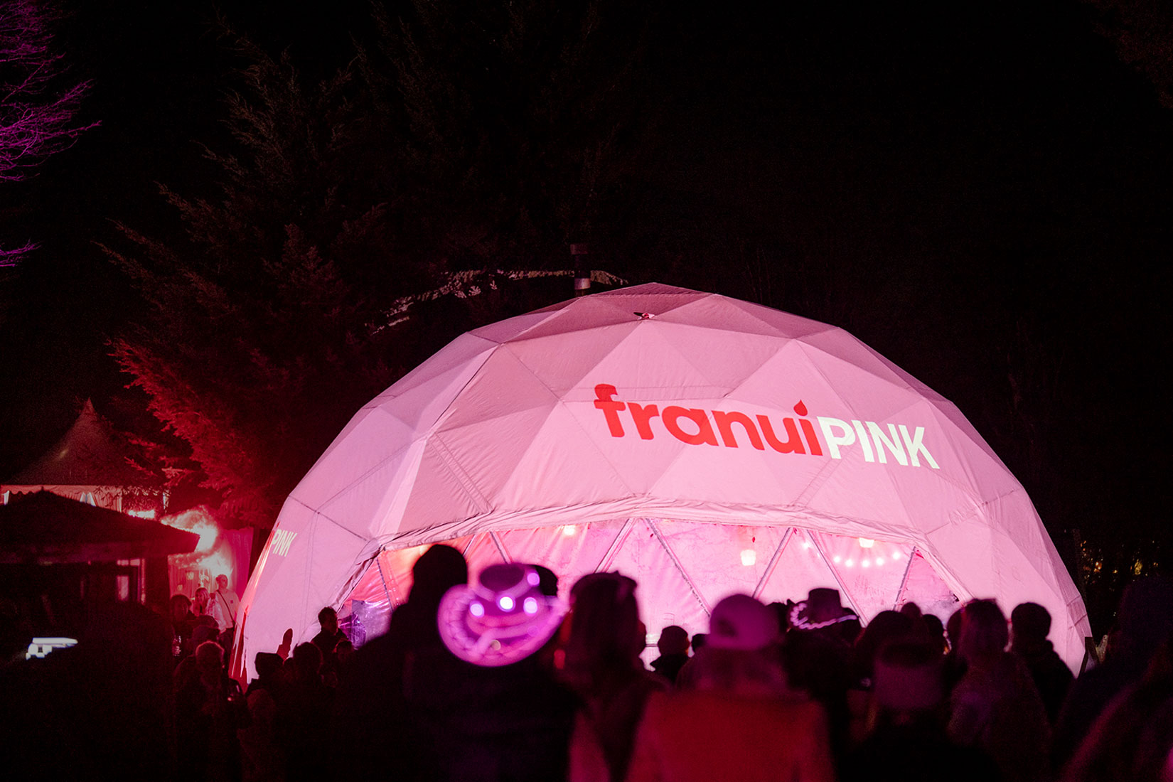 13 lanzamiento marca Franui pink fiesta evento dupla planners patagonia argentina bariloche